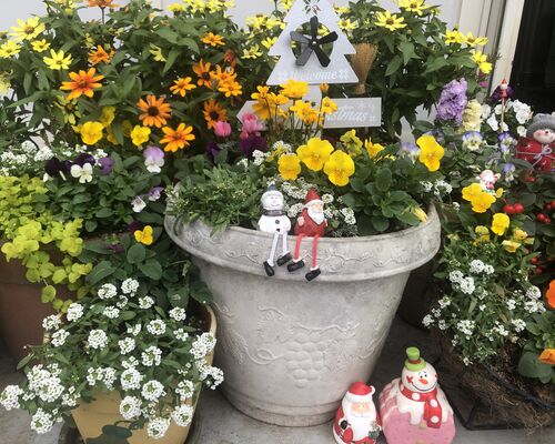 花
