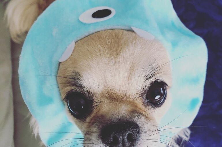 38D8008F-046F-4304-92E4-8FE675B092F4