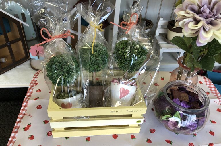 E2597080-1350-474D-8B30-B8A3986180A2