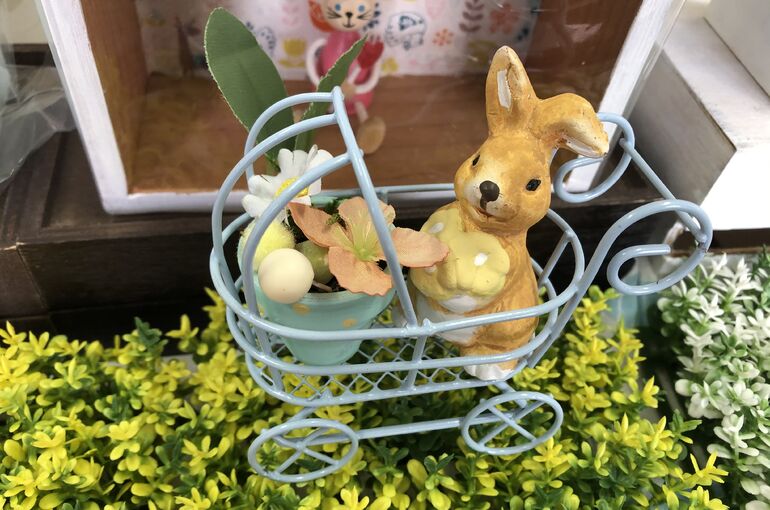 ED45B656-83C2-4014-85D6-B1C40A082461