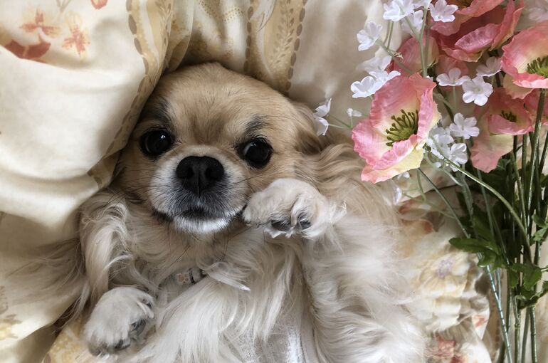 E75CF3FE-0E69-4F72-B5E6-315D539F6622